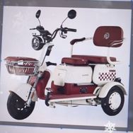 飞鸽高端三轮车抖音达人头像