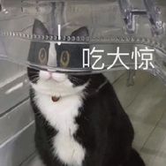 无忌无忌无力无力抖音达人头像