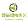 嫒尚绿植园艺抖音达人头像