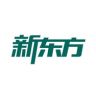 新东方学习直播间抖音达人头像