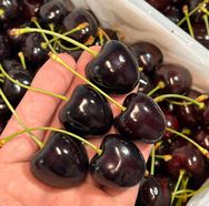 哈哈哈车厘子抖音号头像