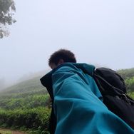 南枫的旅行日记抖音达人头像