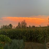 汝州市亿成传媒-小吴抖音号头像