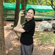 广西灵川狮头鹅抖音达人头像