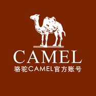 骆驼国际户外旗舰店抖音达人头像