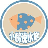 小鹏说水族抖音达人头像