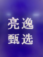 亮逸甄选阁抖音号头像