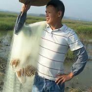 桥头小何抖音达人头像