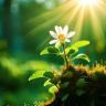 Busa抖音达人头像