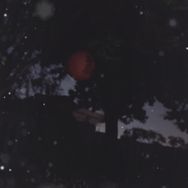 生活号抖音号头像