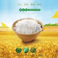 五常大米粮仓抖音达人头像