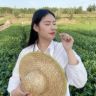 小芳日照绿茶抖音达人头像