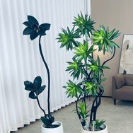 文星绿植坊抖音号头像