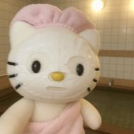 高冷猫抖音达人头像