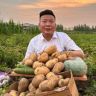 杨哥哥甄选抖音达人头像