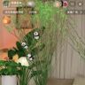 艺总鲜花园艺抖音达人头像