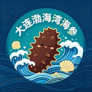 大连渤海湾海参抖音号头像