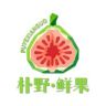 朴野·鲜果抖音达人头像