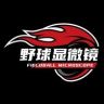 野球显微镜🎥抖音达人头像