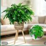 飞粤港绿鲜植抖音达人头像