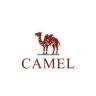 骆驼CAMEL KIDS官方旗舰店抖音达人头像