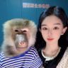 人猴情未了抖音达人头像