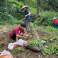 土家康康抖音达人头像