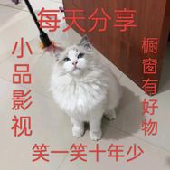 小品影视大全（橱窗有好物）抖音达人头像