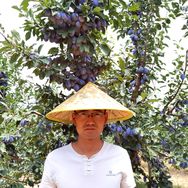 关中夫子🍒村播带头人抖音达人头像