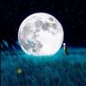 星辰✨💫✨抖音达人头像