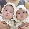 奶油&泡芙抖音达人头像