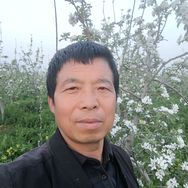 苹果哥抖音达人头像