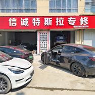 信诚特斯拉专修抖音达人头像