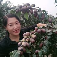 昆玉市晓勤干果店抖音达人头像