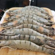 黑金刚海鲜抖音号头像