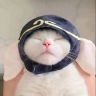 真猪蕾蕾抖音达人头像