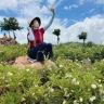 云南树熟人参果抖音达人头像