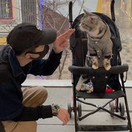 妈耶是只猫抖音达人头像