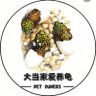 大当家爱养龟（中介）抖音达人头像