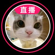 清风动物园抖音达人头像