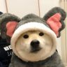 明个見抖音达人头像