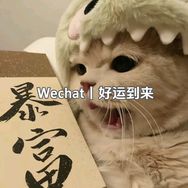小桃不踩雷版抖音达人头像