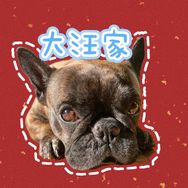 大汪家优质童品抖音达人头像