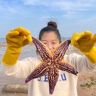 牛牛赶海海鲜抖音达人头像