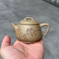 宜兴市丁蜀镇壶中岁月紫砂文化工作室抖音达人头像