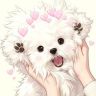 娱圈小豆芽抖音达人头像