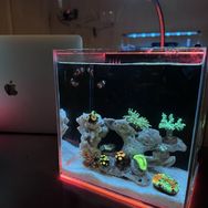 小诺水族馆抖音达人头像