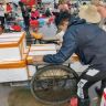 湛江小许·渔船直供海鲜抖音达人头像