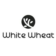 whitewheat官方旗舰店抖音达人头像