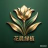 花晨绿植-华东🪴抖音达人头像